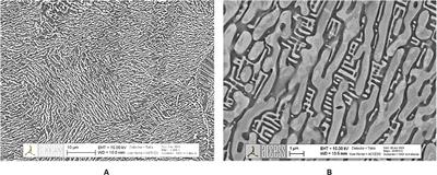 The Influence of Mo Additions on the Microstructure and Mechanical Properties of AlCrFe2Ni2 Medium Entropy Alloys